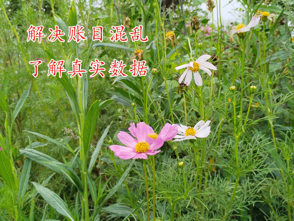 公司的財務賬目太亂怎么辦？