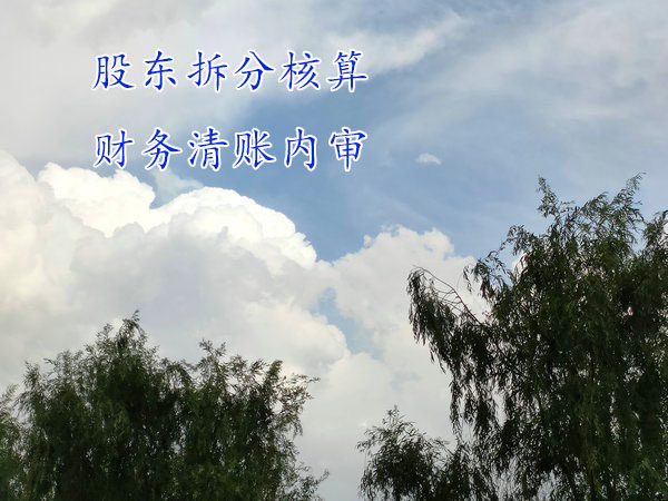 股東們想分家，財務上如何處理？