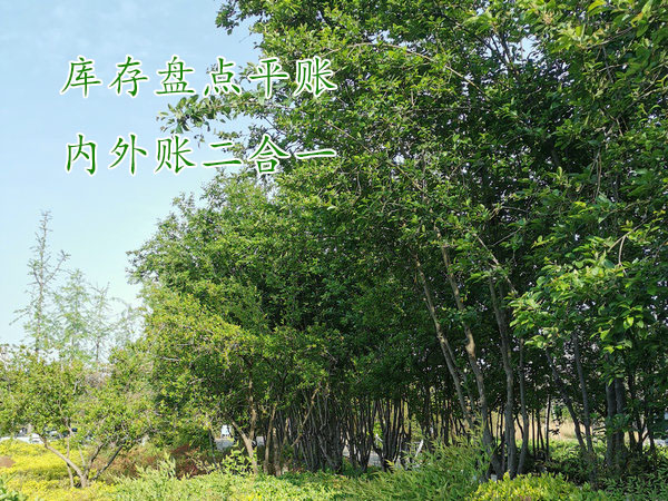 項目結束了想知道賺了多少錢，該怎么盤賬？